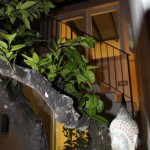 B&B boutique e Casa Vacanze di charme in Salento Guest House la Tana del Riccio a Vaste di Poggiardo